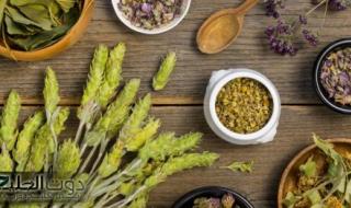 "انسـى دوا السكـر بعد الوصفـة دي" أعشاب تقلل من السكر في الدم والسكر التراكمي.. مفعولها زي السحر