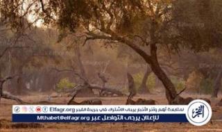 هيئة تطوير محمية الإمام عبدالعزيز بن محمد الملكية تنتج فيلمًا وثائقيًا يكشف أسرار "جبل العرمة"