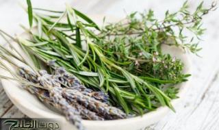 العشبة المعجزة.. نبات يؤخر الشيخوخة ويقلل من علامات تقدم السن.. هترجعي شباب لو عمرك اكثر من 70 سنه