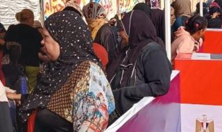 "العرس الانتخابي يتجدد".. مشاهد صباحية من لجان تصويت مجلس النواب 2025