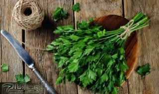 «تصنع المعجزات في 3 ساعات».. عشبة خضراء برائحة حلوة وبسعر التراب تزيل السموم من الجسم وتمنع ارتفاع سكر