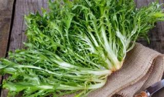 «خدها بعد الأكل ومعدتك هتدعي لك!».. أعشاب طبيعية سحرية بتحسن الهضم وبتطرد الغازات في ثواني.. فوائدها لا تُعد