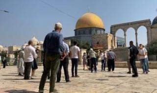 أخبار اليمن : مستوطنون يقتحمون باحات الأقصى