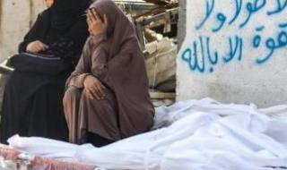 أخبار اليمن : ارتفاع عدد شهداء غزة إلى 71391