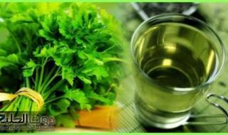 سر عبقري من جدات زمان.. وصفة البقدونس السحرية لتقوية العظام ومحاربة ألم الركبة المزمن