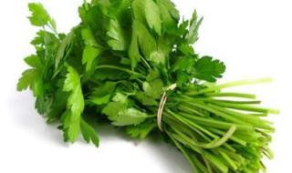 ستي قالتلي عليها...عشبة سحرية..هتخلصك من الدهون المتراكمة في جسمك...هتعالج عسر الهضم...تخلصك من الحصوات