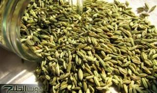 "اذا تبغي ترجعي شباب عليك بالاعشاب" .. عشبة طبيعية تعيد لك شبابك مهما كان عمرك سر قديم تكشفه سيدة