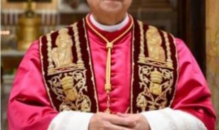 البابا يتلقى دعوة من ترمب للانضمام لمجلس السلام في غزة