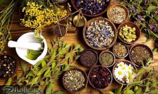 التراث العلاجي بالأعشاب .. ارمي قرون الشطه في المياه المغليه واعملي اقوي وصفه للشباب والنساء هتخلصك من مشاكل