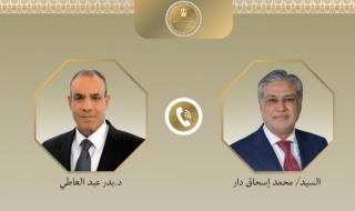 مصر وباكستان تتفقان على تكثيف الجهود لخفض التوتر الإقليمي