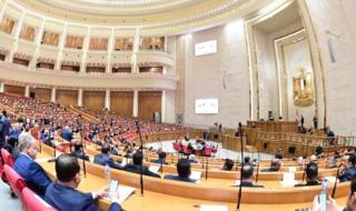 الهيئة البرلمانية لحماة الوطن بالنواب تعد مشروع قانون الأحوال الشخصية