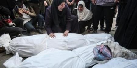 أخبار اليمن : ارتفاع عدد شهداء غزة إلى 53901