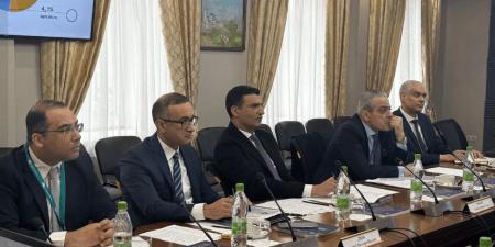 مباحثات لتسريع وتيرة تنفيذ المنطقة الصناعية الروسية وزيادة الاستثمارات