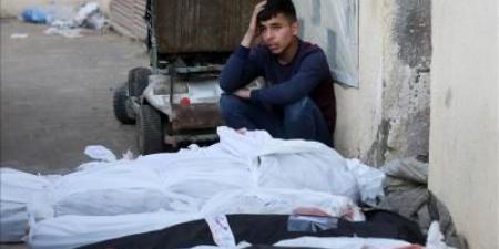أخبار اليمن : 221 خرقاً إسرائيليا وأكثر من 100 شهيد في غزة