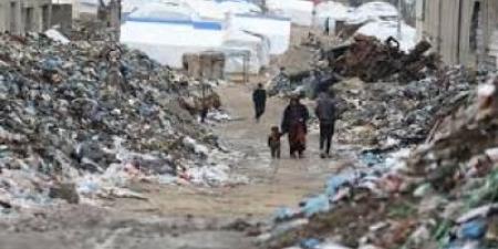 أخبار اليمن : "أونروا": تزايد انتشار القوارض والطفيليات في غزة