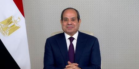 الرئيس السيسي: منفتحون على التعاون مع مختلف الشركاء الدوليين فى إطار من الاحترام المتبادل