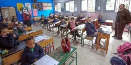 نتيجة الصف الرابع الابتدائى 2026 فى الجيزة.. رابط الاستعلام فور اعتمادها