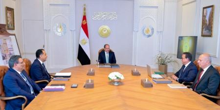 الرئيس السيسي يوجه بدعم تطبيقات الذكاء الاصطناعي في المنشآت الصحية
