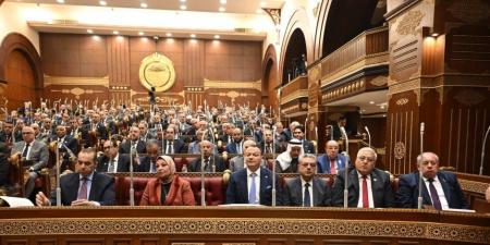 رفع الجلسة العامة لمجلس الشيوخ واستكمال مناقشة خطة التنمية والتصويت عليها غدا
