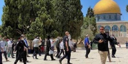 مستوطنون يقتحمون المسجد الأقصى