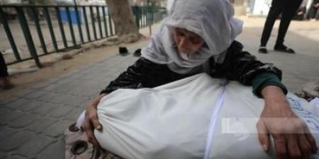 أخبار اليمن : 73,016 شهيدا حصيلة عدوان الاحتلال على غزة