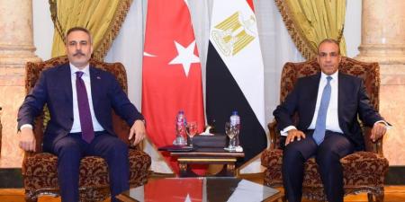 وزير الخارجية يلتقى نظيره التركي على هامش اجتماع الأطراف الاقليمية الأربعة بالقاهرة