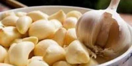 أخبار اليمن : ماذا يحدث لجسمك عند تناول فص ثوم يومياً؟