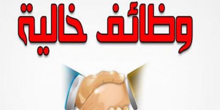 وزارة العمل تطرح 210 وظائف بالقاهرة الجديدة برواتب تصل إلى 9700 جنيه.. تعرف على التخصصات وشروط التقديم