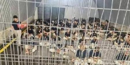 أخبار اليمن : إصدار وتجديد أوامر اعتقال إداري لـ56 فلسطينياً
