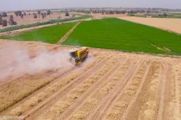 العالم اليوم - وزير التجارة العراقي: احتياطات القمح كافية لمدة عام