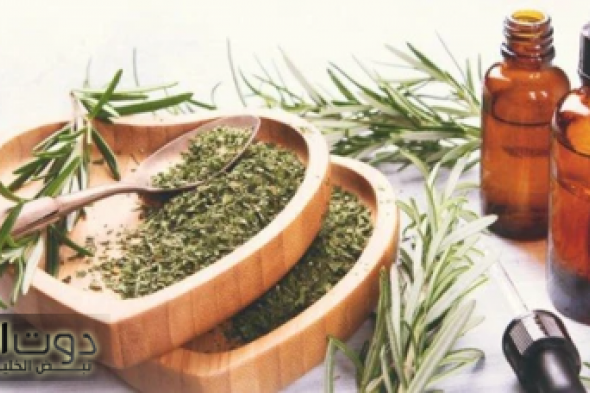 العشبة السحريه هترجع 20 سنه لورا... موجودة في كل منزل دون أن تعلم الكنز العجيب الذي تحتويه.!