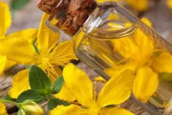 عشبة سحرية لعلاج الاكتئاب وتحسين المزاج!!.. شابة يمنية تعلن عن كنز طبيعي مذهل لم تعرفه من قبل..أعشاب هتغير حالتك المزاجية 180 درجة!!