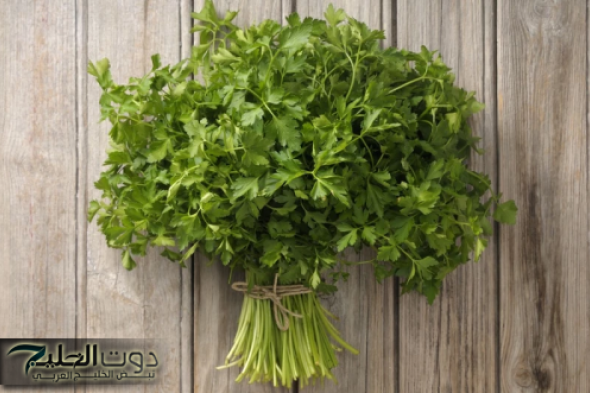 "هتقول كانت غايبة عننا فين كل ده؟!"... عشبة معجزة تقوي الذاكرة ويغذي المخ ويحارب الشيخوخة ويعزز نمو الشعر ويطيل العمر!!