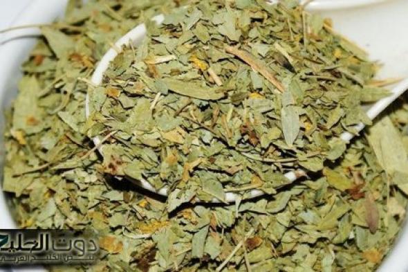 عشبة سحرية"..تنظف القولون وتخلصك من مشاكل الجهاز الهضمي بسرعة كبيرة..تعرف عليها وواظب عليها