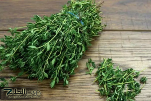 "عشبة من الجنة متوفرة في كل مطبخ".. تعالج النقرس وآلام المفاصل ولها فوائد أخرى..تعرف عليها لا تتجاهلها بعد اليوم!!