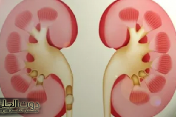 "كوب سحري من مطبخك.. ينقي الكبد يفتت حصى الكلى ويقضي على السكر التراكمي وهتخس من غير ما تحس!"