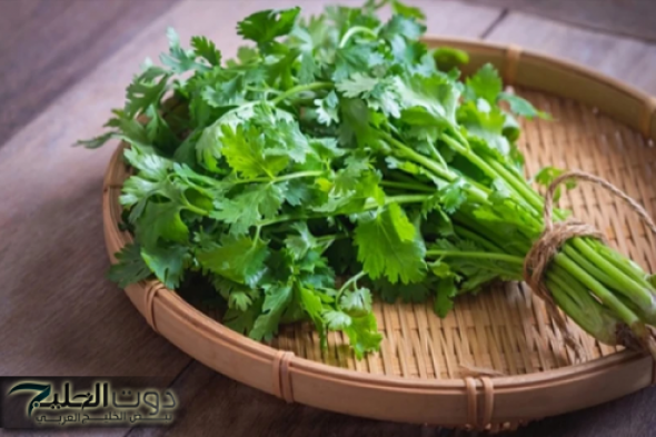 ازاي عايشين ومنعرفش..!! عشبة رخيصة تستخدم بجميع الطبخات تحارب الحصوات تقلص السكر التراكمي وتنقي الكبد وتعزز كفاءة الكلى وتتميز برائحتها القوية!
