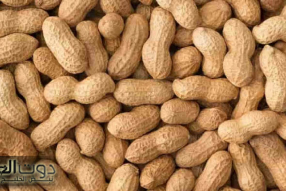 "مفعوله حير العالم والعلماء" .. لن تصدق ماذا يحدث في جسمك عند تناول «الفول السوداني» لمدة 7 أيام