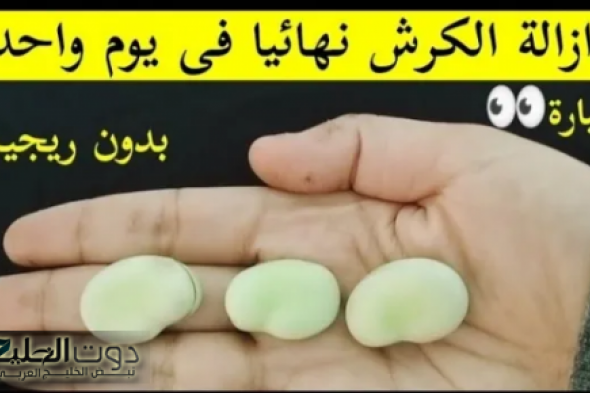 فقط بحبة واحدة من هذا النبات يوميا قبل النوم يمكن التخلص من الكرش وتسارع معدل حرق الدهون طبيعيا بدون كيماويات أو رجيم