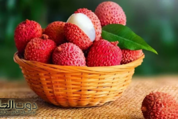 معجزة ربانية !!.. الفلاحين تكشف عن نبات سحري يؤخر الشيخوخة وعلاج فعال للتجاعيد هتفضل في سن العشرين | هتجيبه لو بمليون جنيه