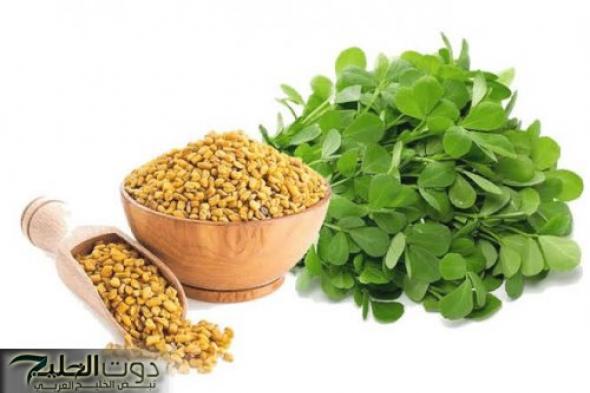 "العالم كله هيموت ويعرفها" .. فتاة مصرية تكشف عن عشبة سحريه برخص التراب تمنع الشيخوخة المبكره وتحميك من السرطان والحل الأمثل لتهدئة القولون