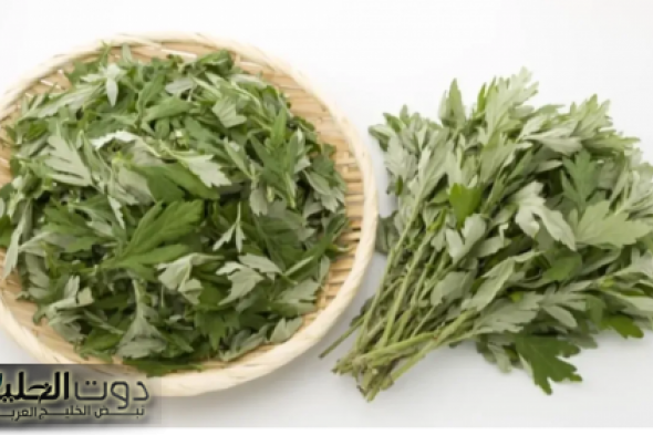 هترجع شاب من أول مرة تستخدم الوصفه فيها”…عشبة سحرية تمنحك شعرا كثيفا وذاكرة قوية نصحني بيها شايب عمره 90 سنة!