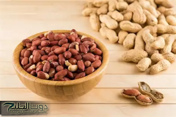 بعد اللي هتعرفه ده هتجري تشتري منه شوال..!! فوائد الفول السوداني المذهله على صحة الإنسان..!! طول عمرك بتاكله ومتعرفش كمية الفوائد دي..!!