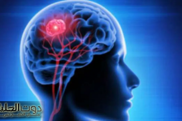 ذاكرتك مش هتخونك تاني!!..3 أحسن تمارين منزلية تساهم في تقوية الذاكرة وتنشيط العقل..هتبطل نسيان توهان وكل الذكريات هتبقي في امان!!