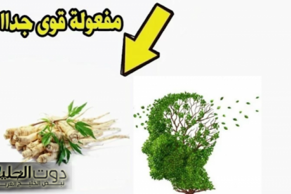 وداعا للزهايمر والنسيان… عشبة سحرية في مطبخك تحول ذاكرتك لكمبيوتر خارق مهما كان عمرك