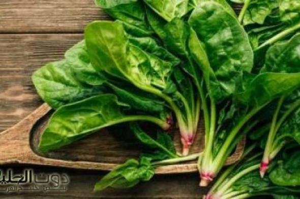 «مليانة فيتامينات ومعادن».. عشبة جبارة متوفرة بكثرة دون أن نعلم أهميتها الكبيرة!! لن تتخيل ماهي فوائدها!!