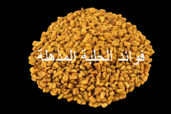 «مليانة فوائد جباره ومعادن».. عشبة جبارة متوفرة بكثرة دون أن نعلم أهميتها الكبيرة..!! عمرك ماكنت تتخيلها!!