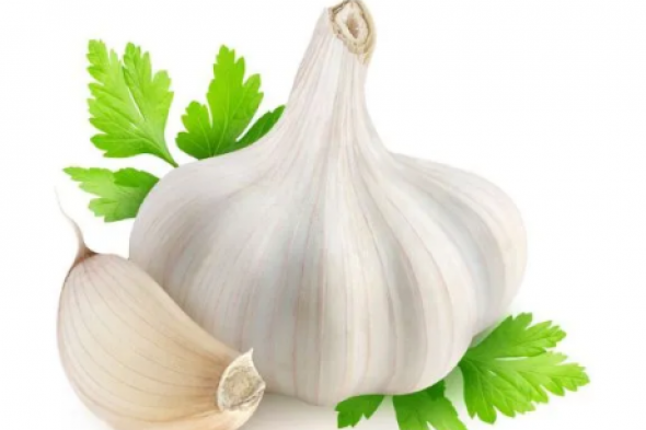 لو بيجيلك برد وزكام كتيير جبتلك الحل!!.. نبات موجود في كل منزل يقضي على البرد والزكام في ثواني العفريت ذات نفسه ميعرفهوش!!