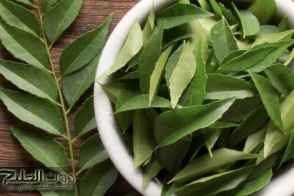 «ضاع عمرنا واحنا منعرفش» .. عشبة سحرية تخفض مستوى السكر التراكمي في الدم خلال 30 دقيقة أقوى من إبر الانسولين 100 مرة .. بشري سارة لمرضي السكر!