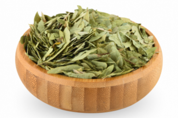 مش هتحتاج تروح لدكتور تاني..عشبة سحرية برخص التراب هتنضف القولون تماما وهتخلصك من البراز المتحجر في 5 دقائق.. يارتني جربتها من زمان!!